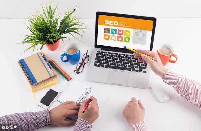 当你上飞机后发现邻座是小猫